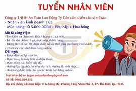 Cty Xkld Vov Tuyển Dụng Thực Tập Sinh Logistics Tphcm