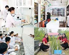 Đại Học Duy Tân Ngành Dược