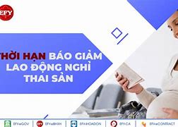 Nghỉ Thai Sản Ngày 15 Thì Báo Giảm Tháng Nào